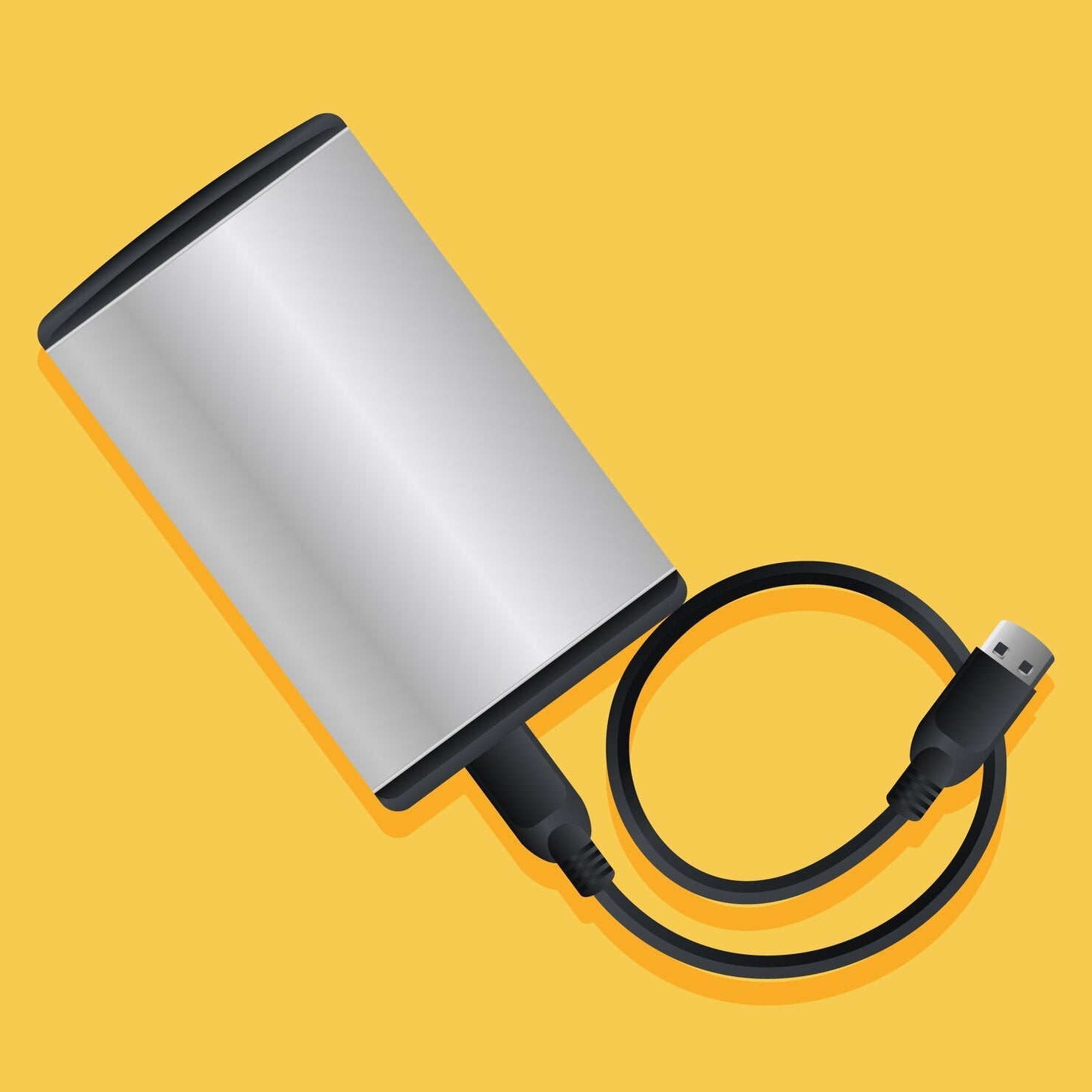 original Dell Inspiron charger