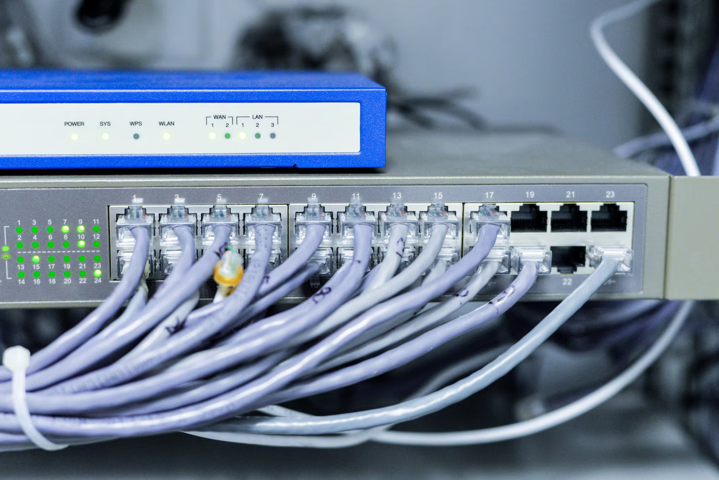  Network switches online 