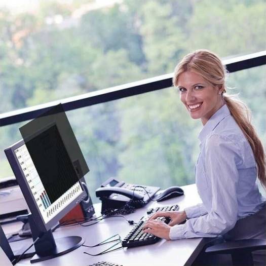 Buy 22" desktop privacy screen online
