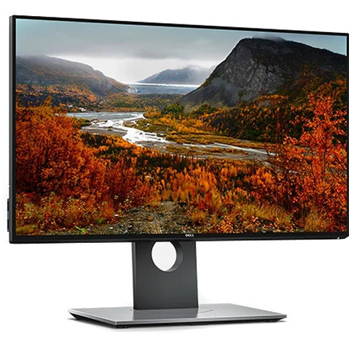 Dell 23-inch Wide Viewing TFT Monitor
